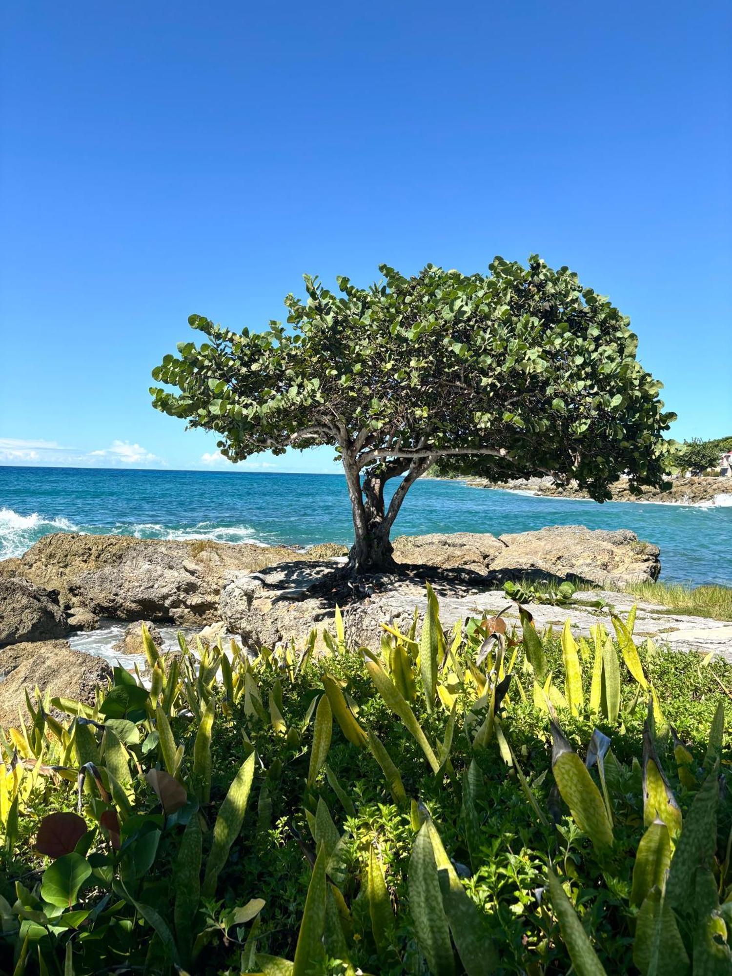 Vila Gite Mabouya - Hamak, Piscine, Jardin Anse-Bertrand Exteriér fotografie